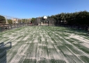 Césped Deportivo